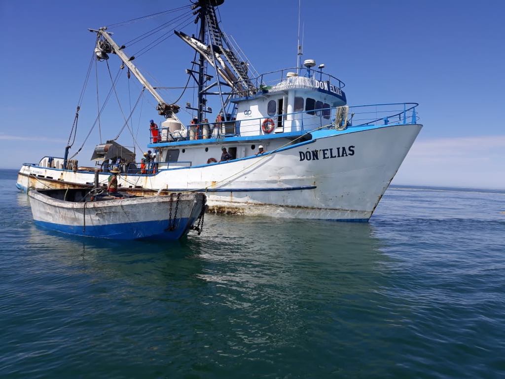 Profepa asegura embarcación por pesca de sardina dentro de área protegida en BCS