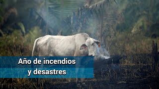  2019. Año de incendios y desastres