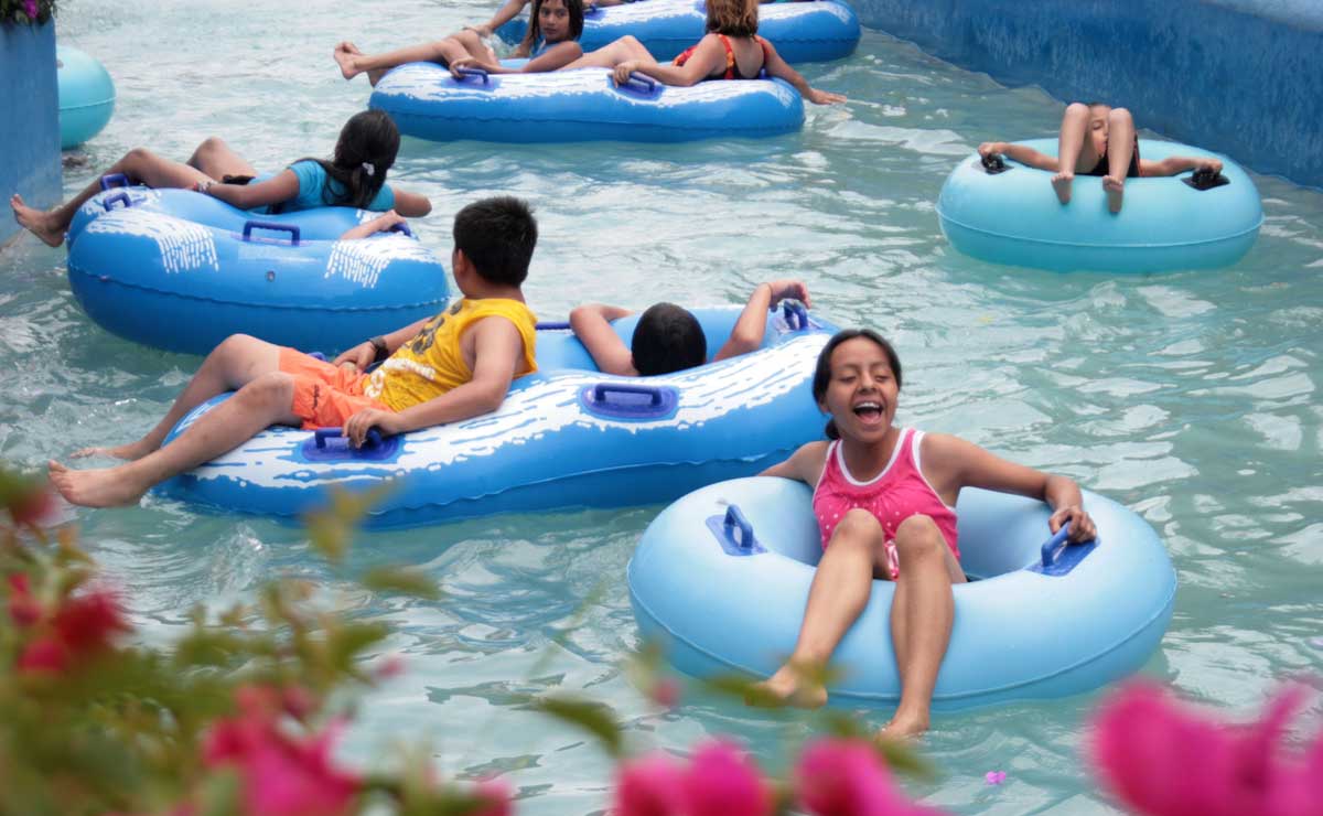 Acuario Michin Puebla ¿Cuáles serán sus horarios en los días de Semana ...