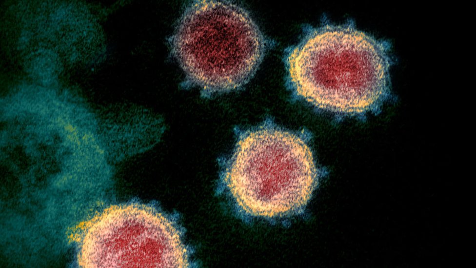 El coronavirus tiene escondido un misterioso "gen dentro del gen"