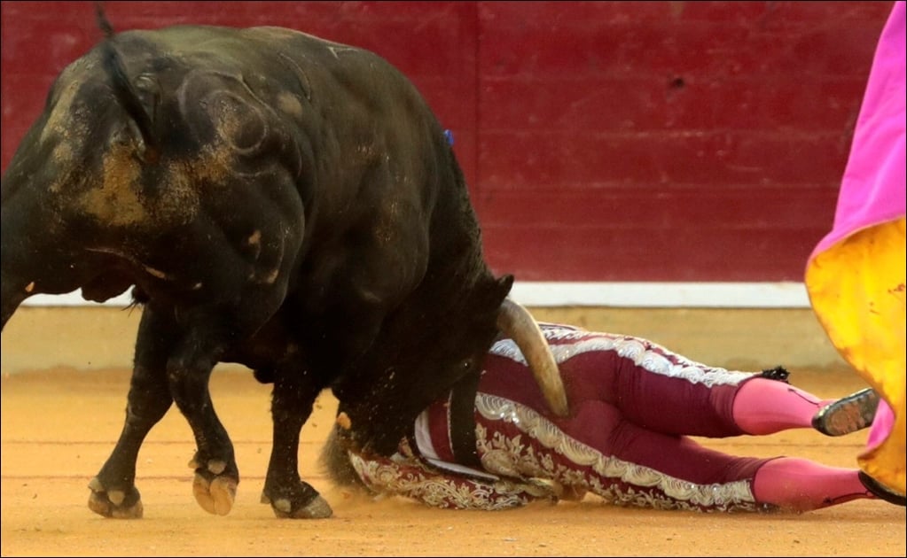 Sedado y entubado banderillero tras brutales cornadas