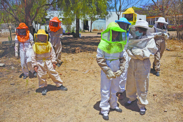 “Niños abeja”: Alumnos de Coyotepec se ponen avispas 