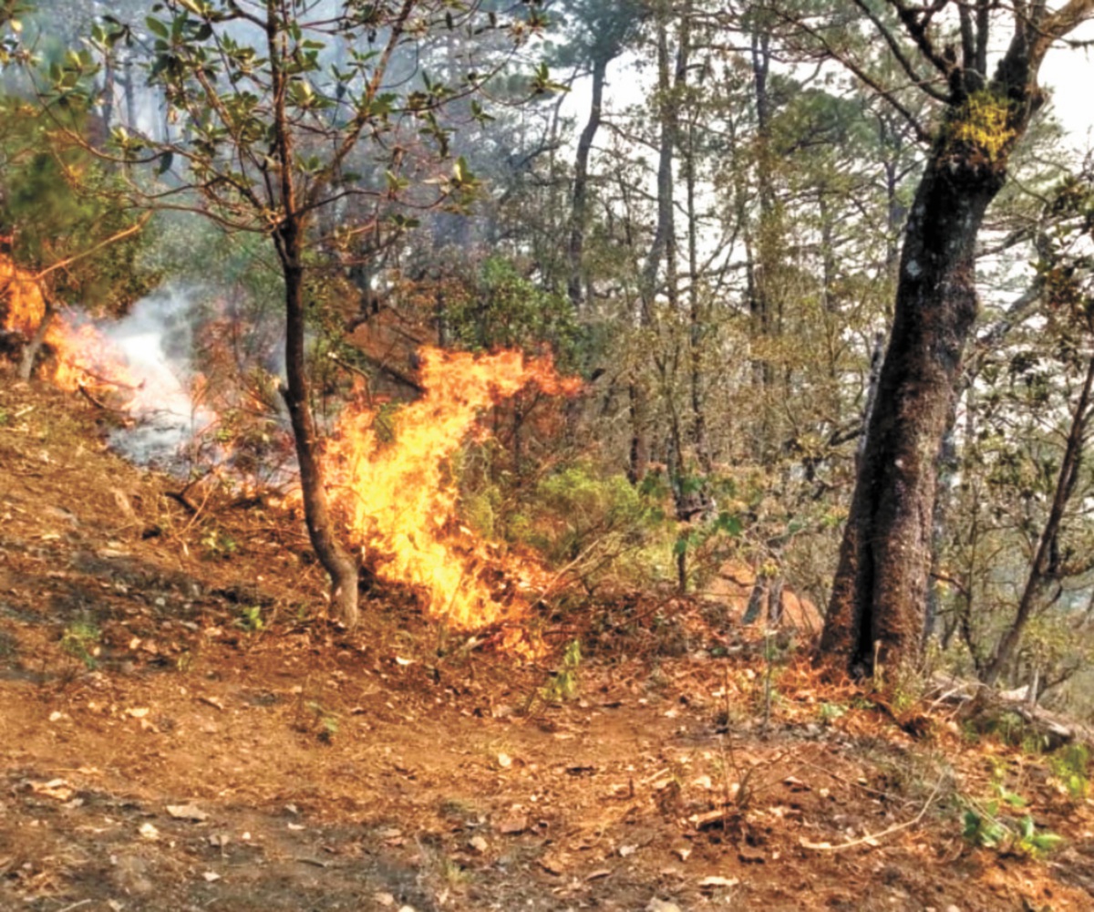 Viento aviva fuego en Sierra Gorda