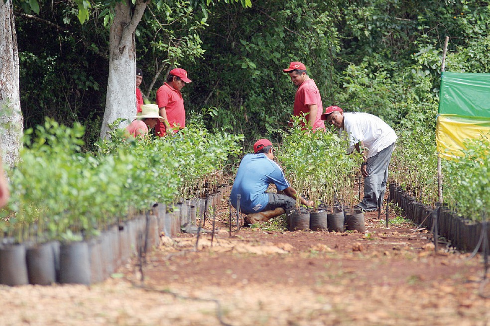 Sin ingresos, 34% de los trabajadores agrícolas, dice Inegi