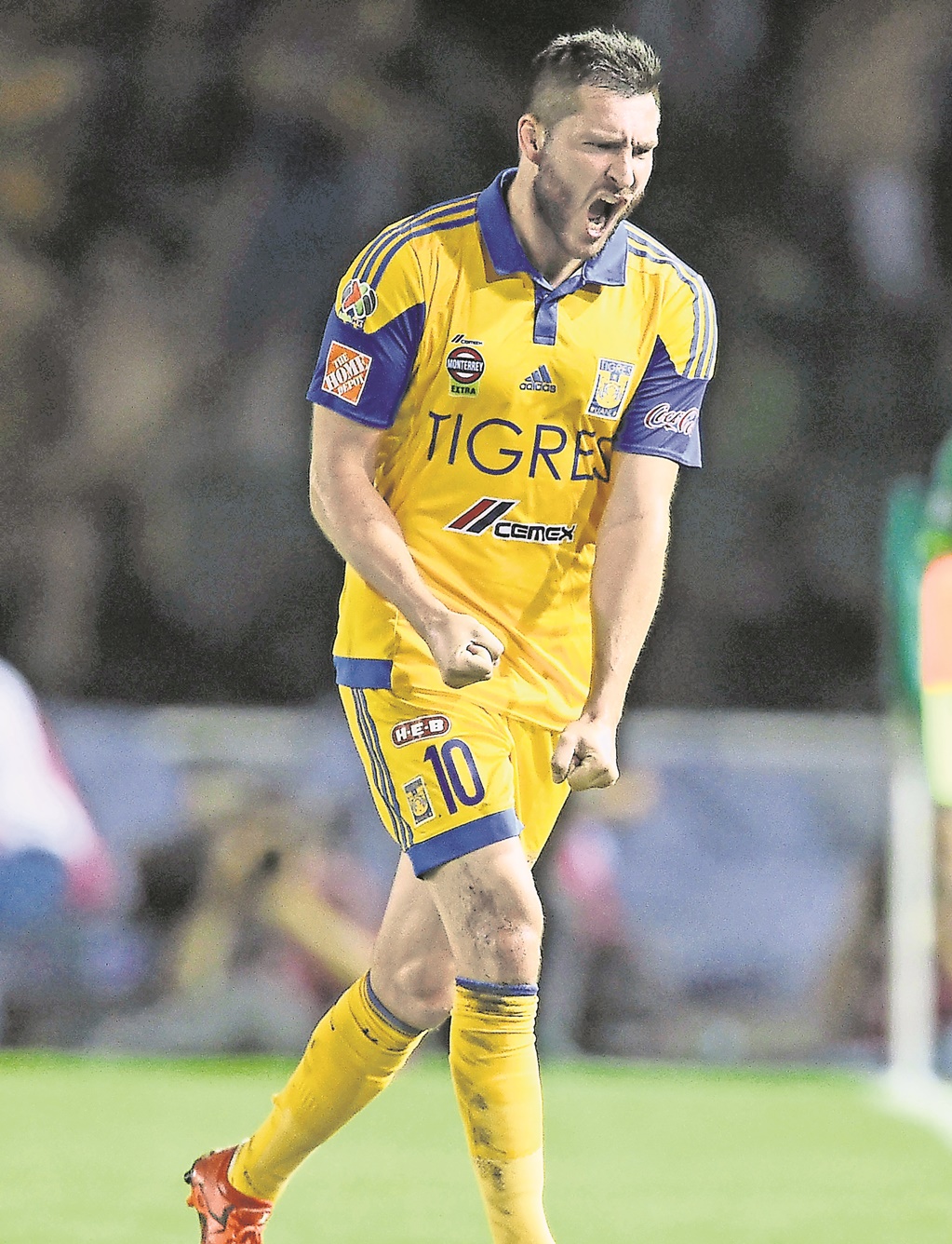 Tigres, con toque francés