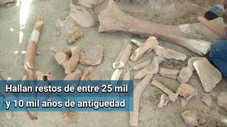 Hallazgos en Santa Lucía, un hito para la paleontología de AL