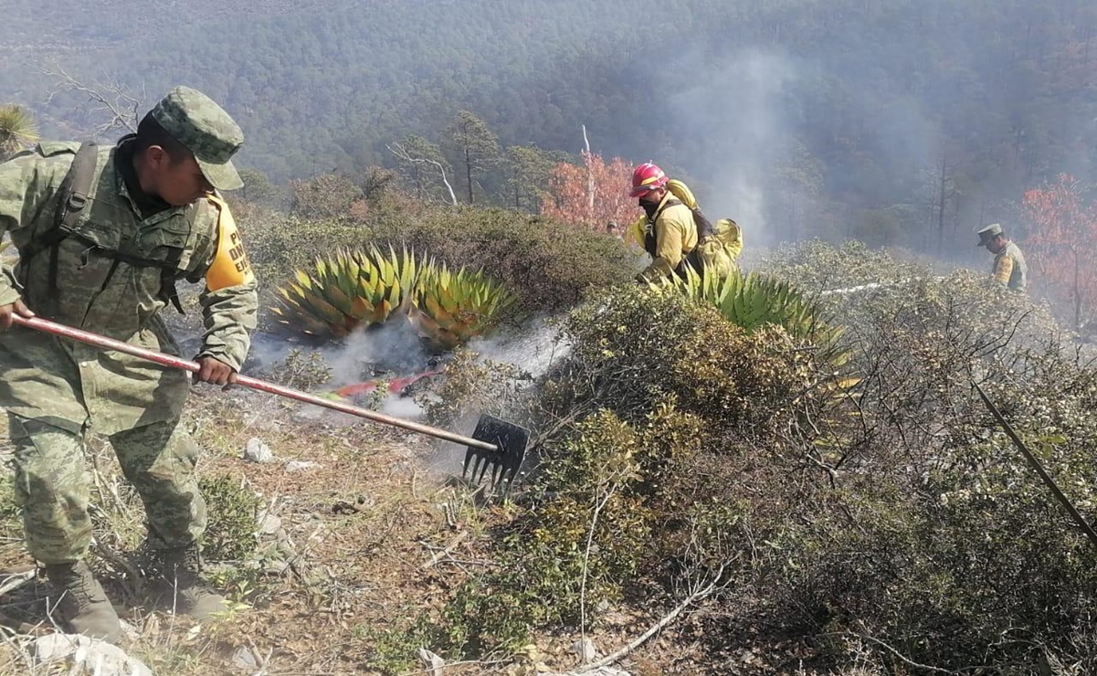 Aplican Plan DN-III-E y Plan GN-A por incendio en El Mante, Tamaulipas