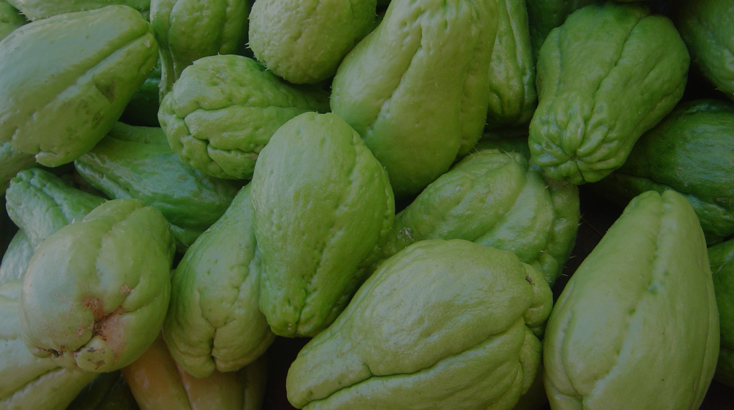 Conoce los beneficios de comer chayote todos los días