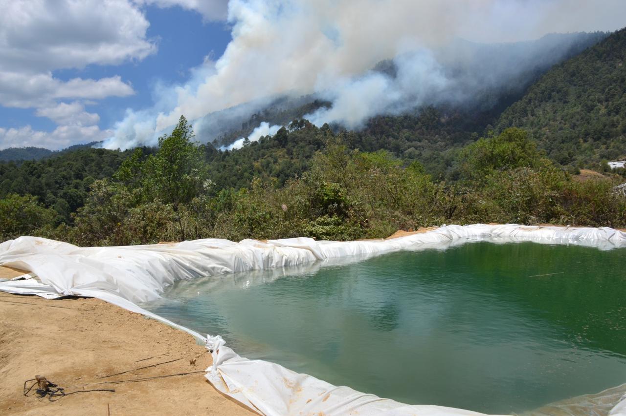 Se han registrado 733 incendios en Edomex en lo que va del año: Probosque