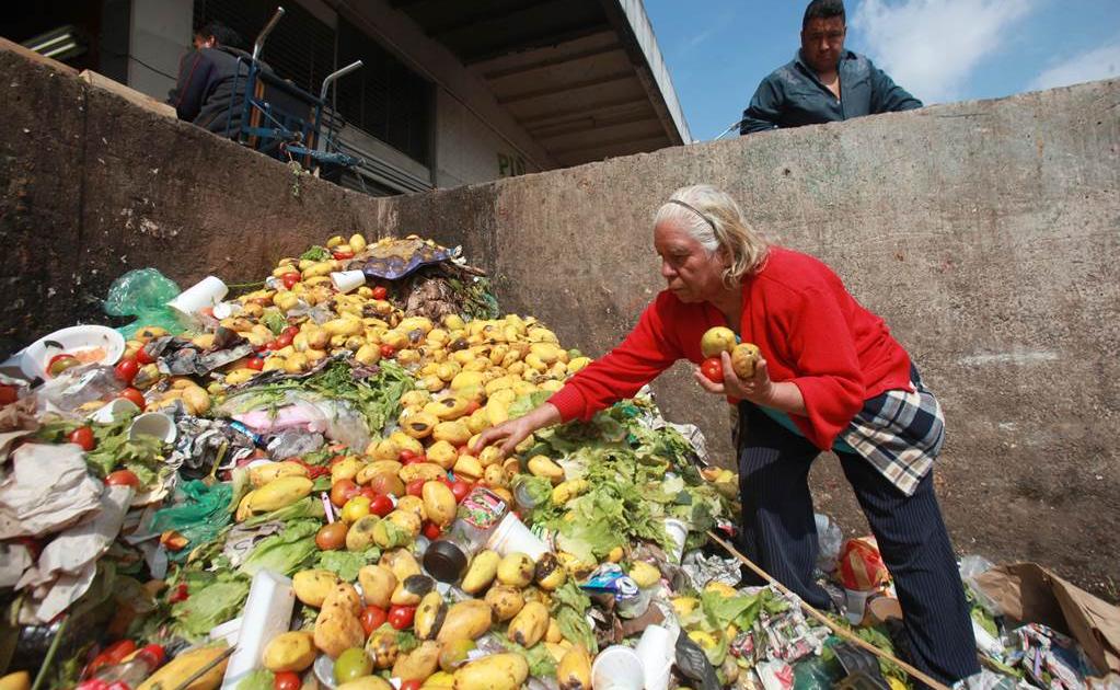 ¿Cuánta comida desperdiciamos los humanos?