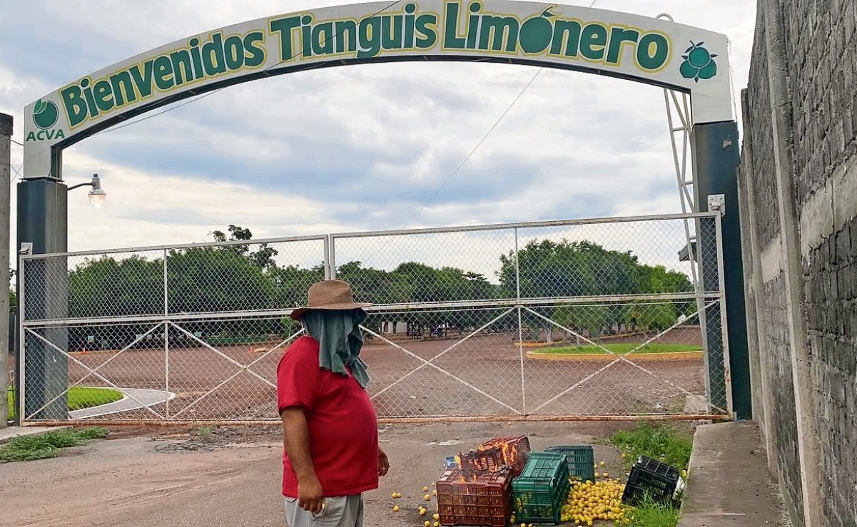 Limoneros reanudan paro en Michoacán