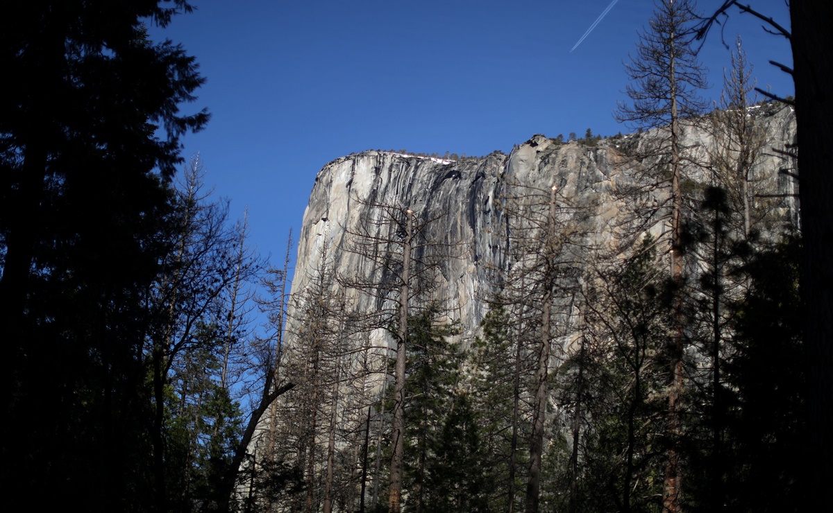 Alertan por brote de virus muy contagiosos en Parque Nacional de Yosemite