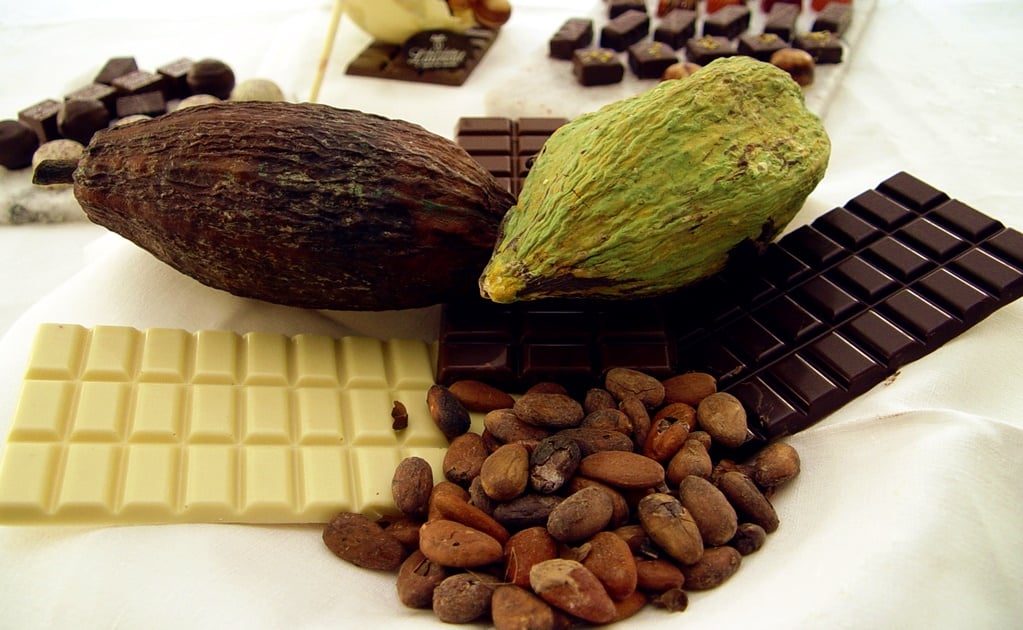 Health benefits of cacao and chocolate