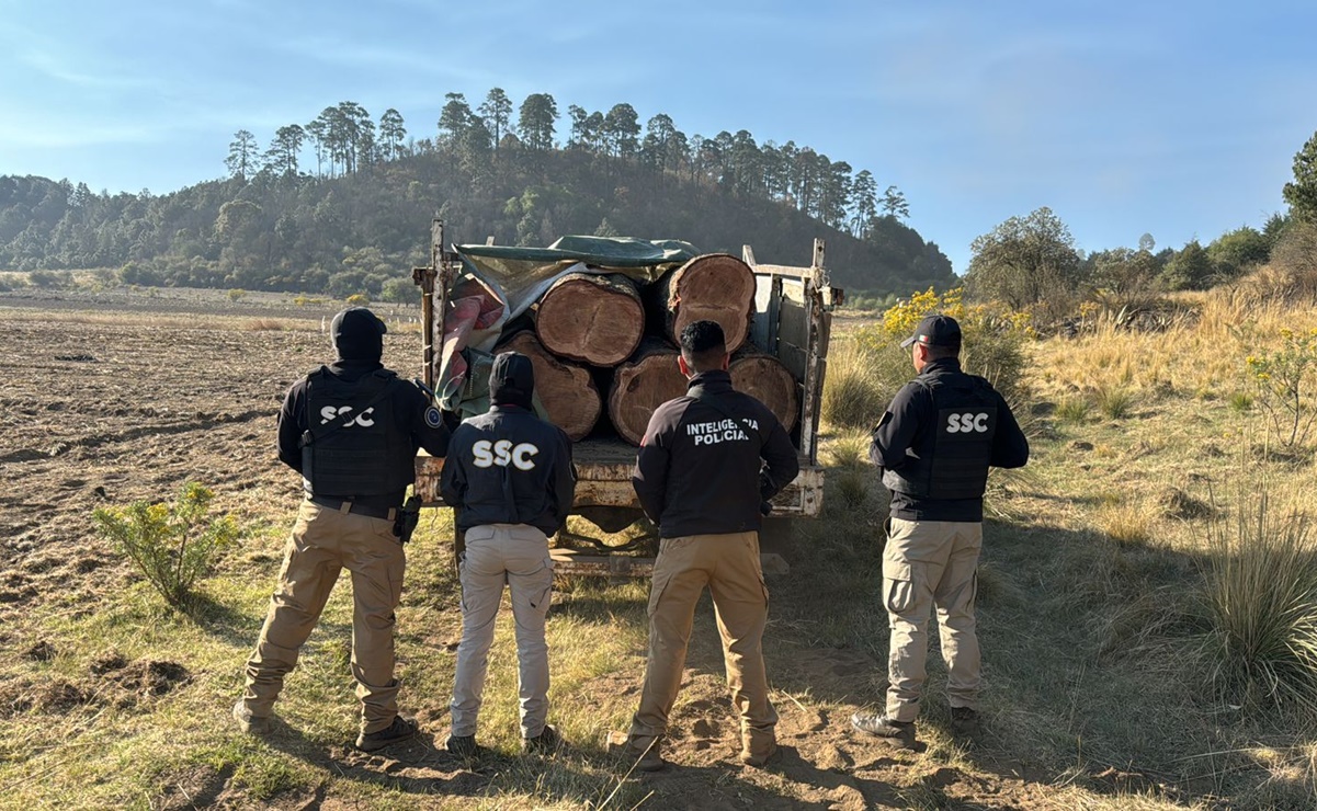 Detienen a un sujeto por tala ilegal de árboles en la Alcaldía Milpa Alta