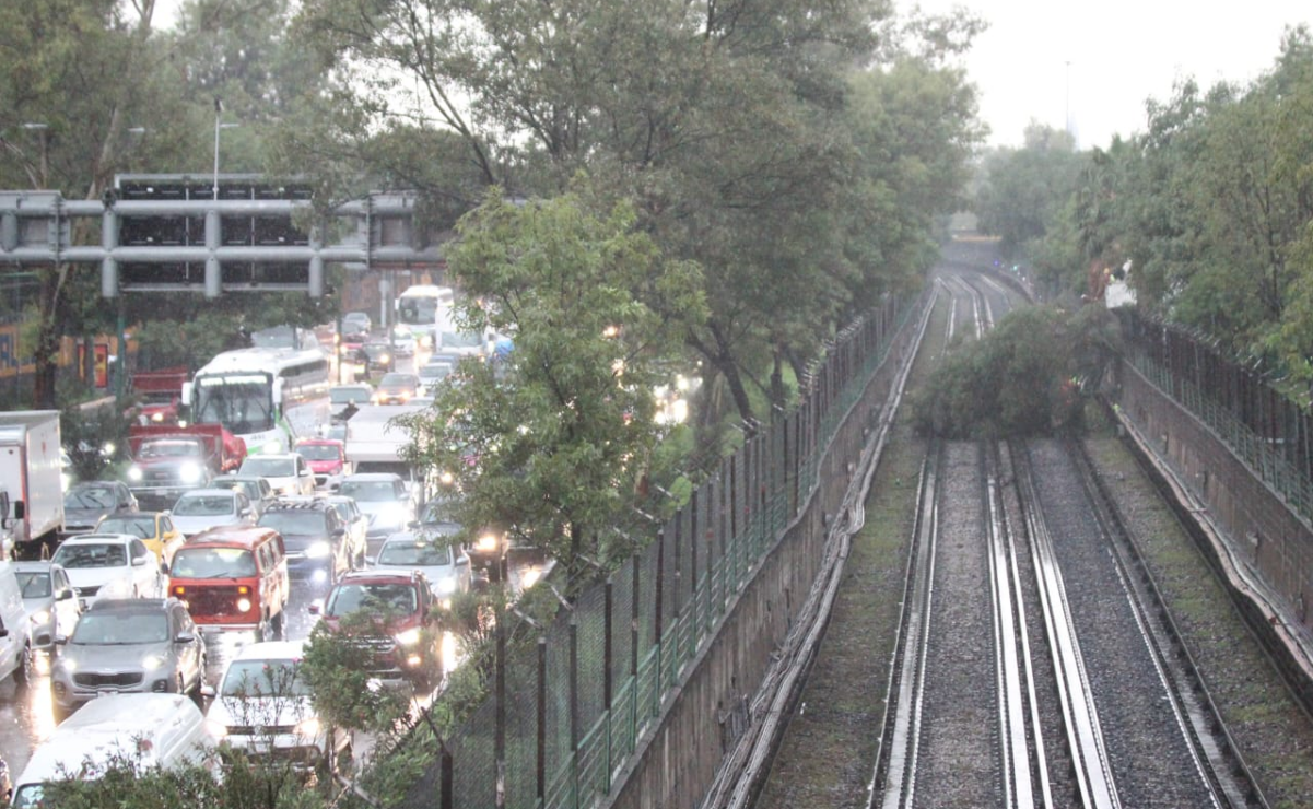 Árbol caído en vías del Metro e inundación en Indios Verdes, las imágenes que dejaron las fuertes lluvias en CDMX