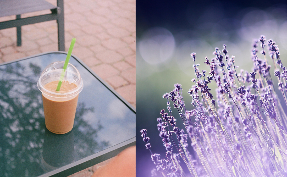 Te contamos cómo pedir el nuevo café con lavanda de esta conocida cafetería