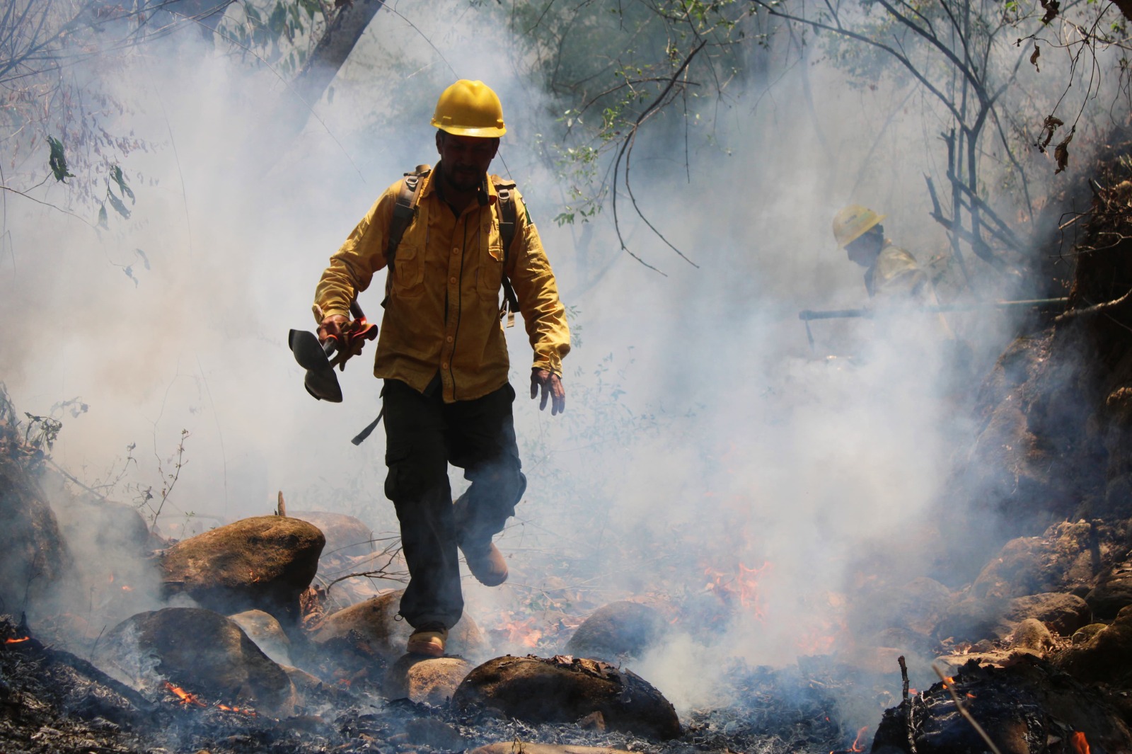 Controlan al 100% incendio forestal en Barranca del Tecolote, Cuernavaca