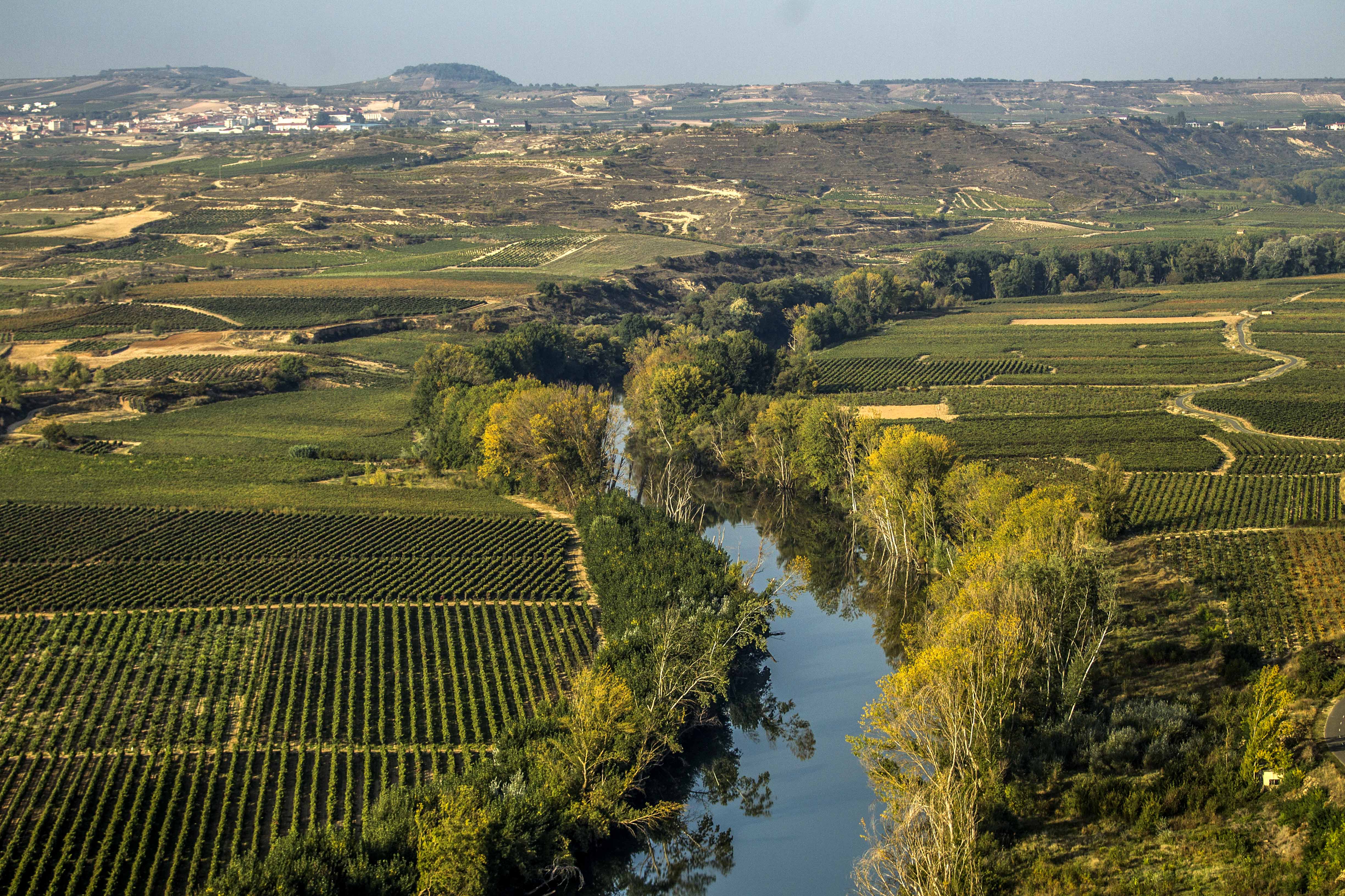 Un tour enológico por la Rioja de ayer y hoy
