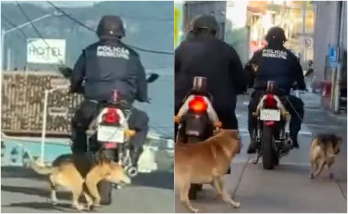 VIDEO: Policía arrastra a perrito en su moto en Jalacingo, Veracruz