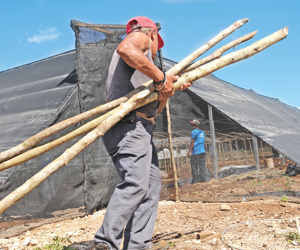 Rasuran gasto para campo 