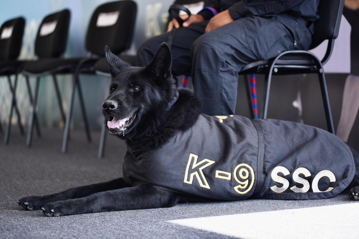 Jubilan a "Adis", oficial canino del sistema penitenciario en la CDMX