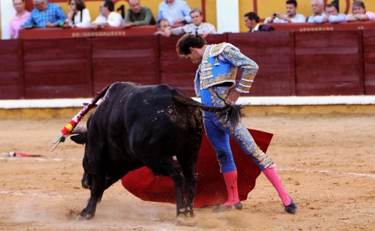 Entra en vigor ley que prohíbe corridas de toros y peleas de gallos en Quintana Roo