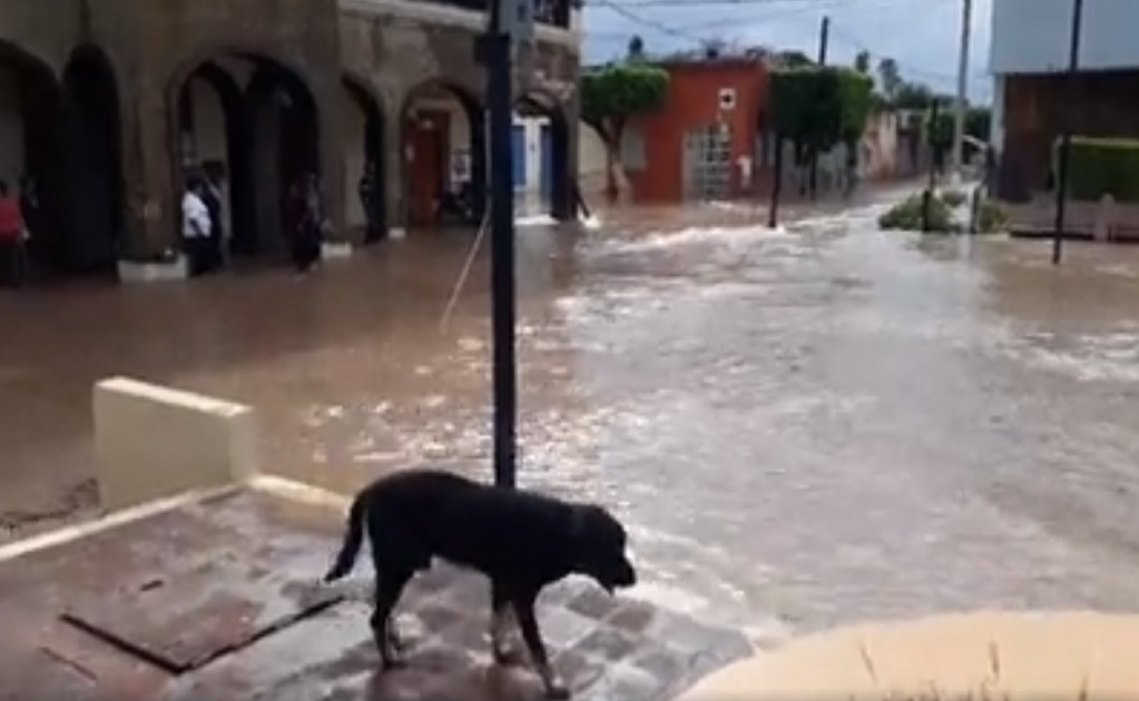 "Willa" desborda el río Acaponeta en Nayarit; deja inundaciones