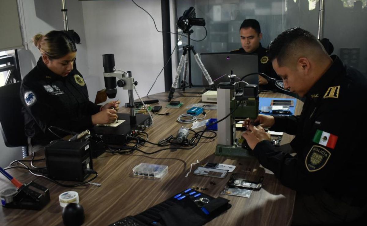 Estos son los delitos con mayor incidencia en el estado de Puebla | El ...