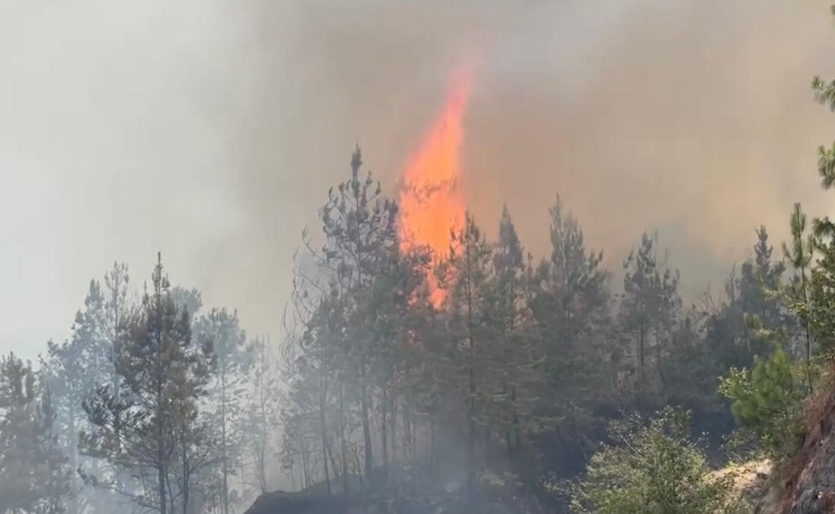 Incendio forestal en Hidalgo deja varias personas intoxicadas