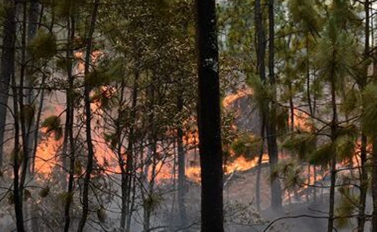 Morelos ha registrado 75 incendios forestales en lo que va del año: Secretaría de Desarrollo Sustentable