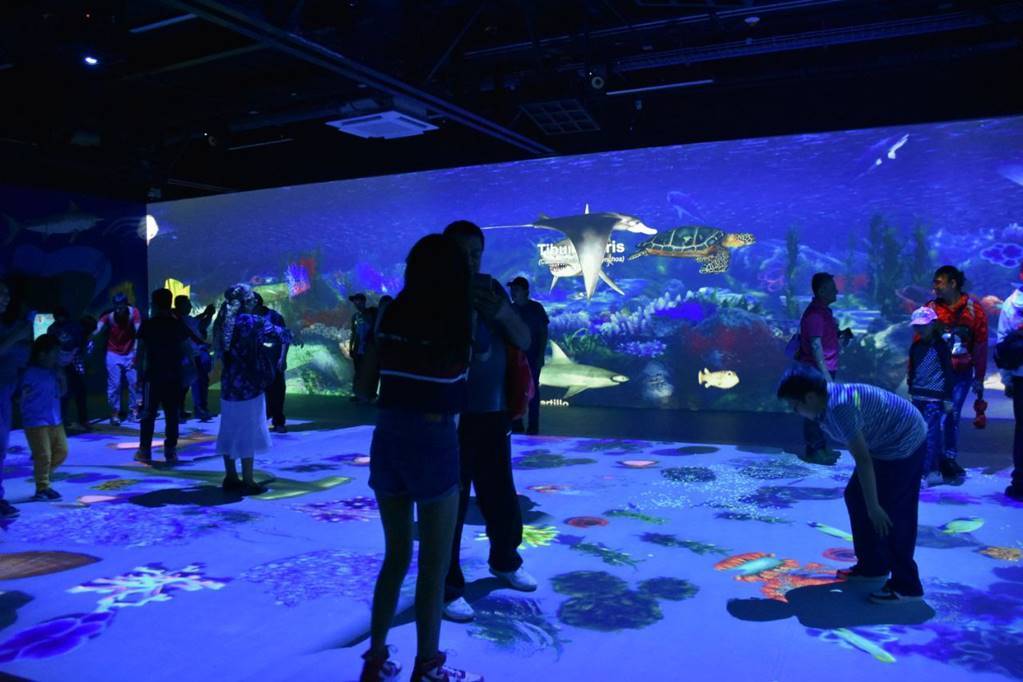 El Acuario Digital Interactivo, una visita al fondo del mar en Iztapalapa