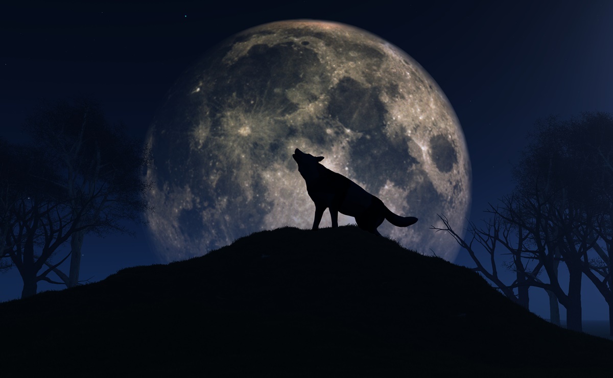 Luna llena del Lobo y lluvia de meteoritos Cuadrántidas; los eventos astronómicos imperdibles de enero