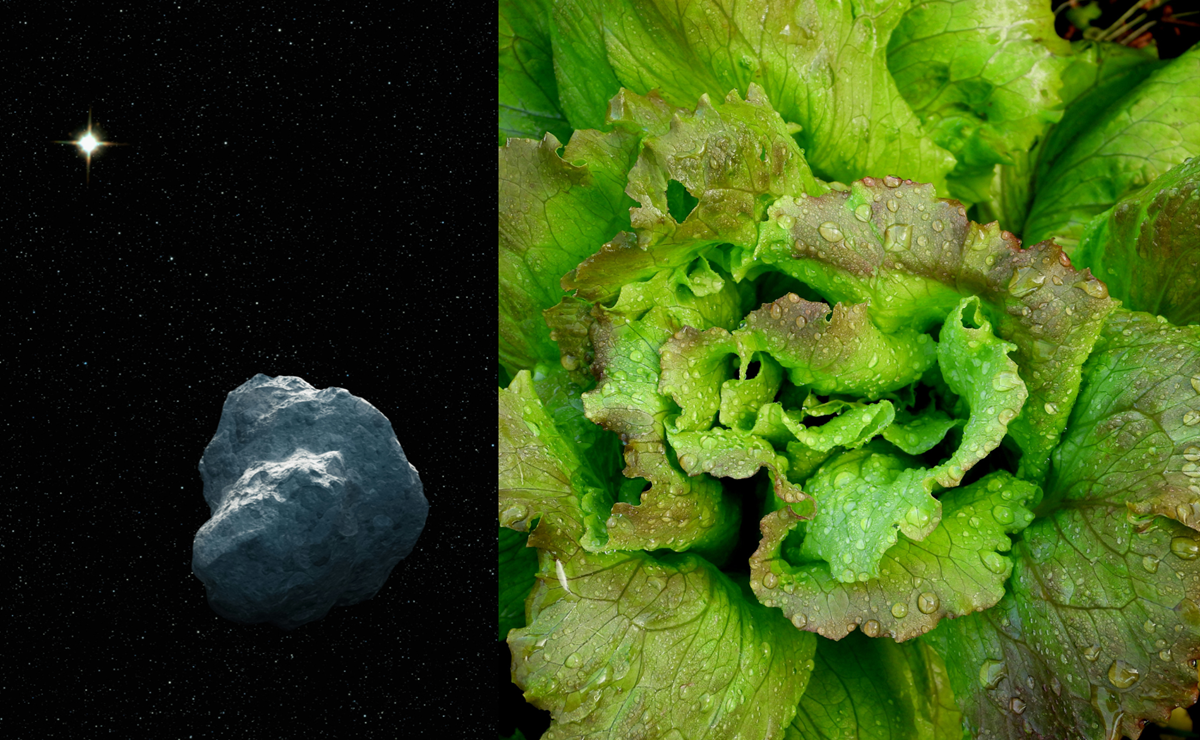 ¿Se puede cultivar alimentos en un asteroide?