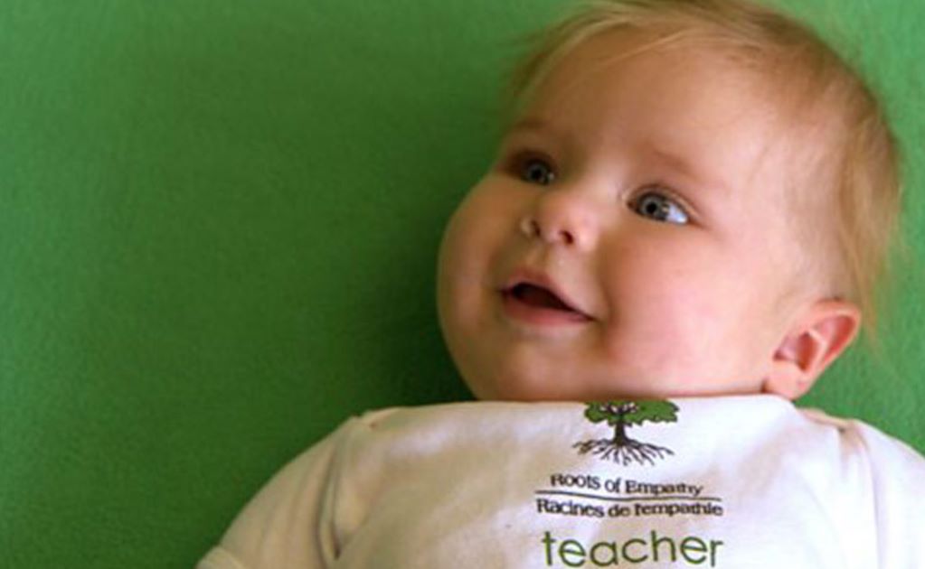 Los "profesores" de 6 meses de edad que enseñan en colegios alrededor del mundo
