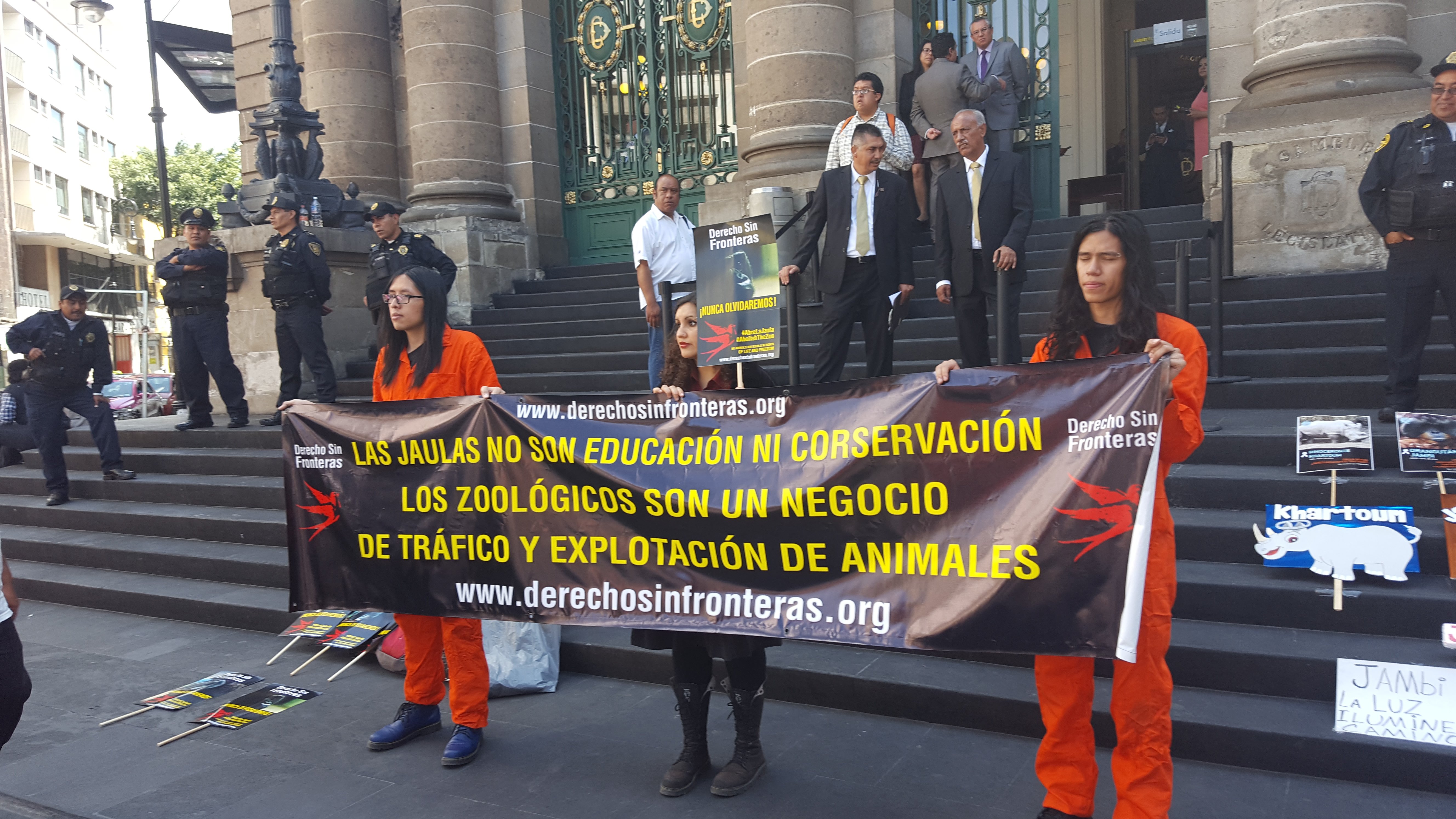 Activistas protestan en ALDF por muertes de animales