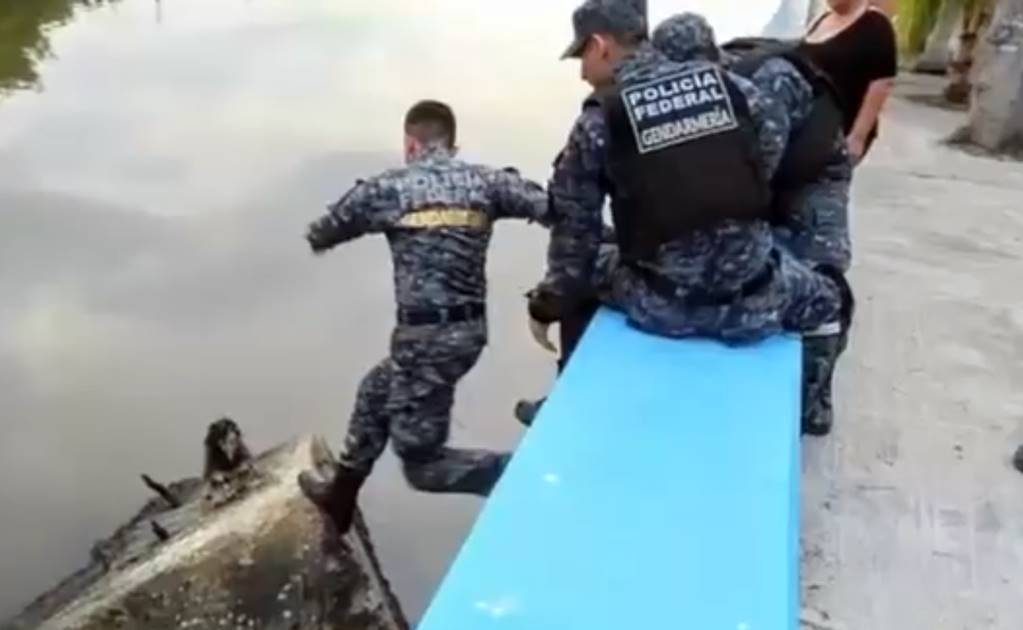 Rescatan a perro del canal de aguas negras en Campeche