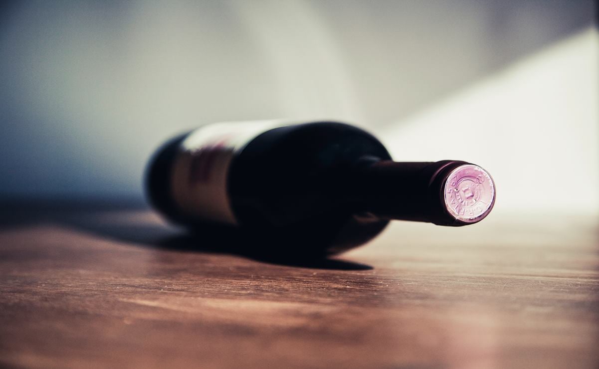 El primer viñedo en Hidalgo que busca su lugar en el mundo del vino 