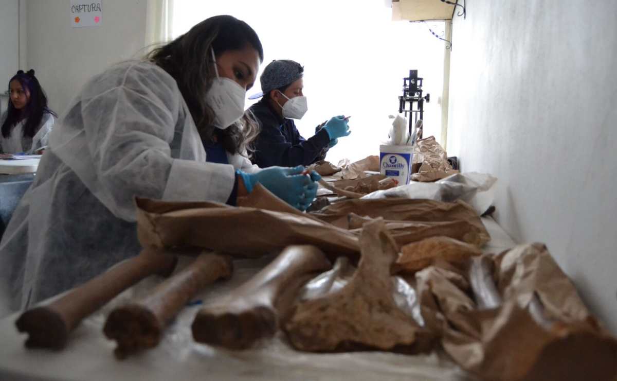 Hallan vestigios arqueológicos en construcción del Trolebús Santa Martha-Chalco