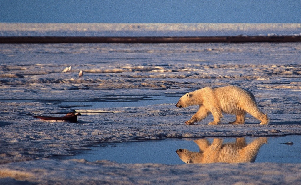 The largest ozone hole over the Arctic has closed