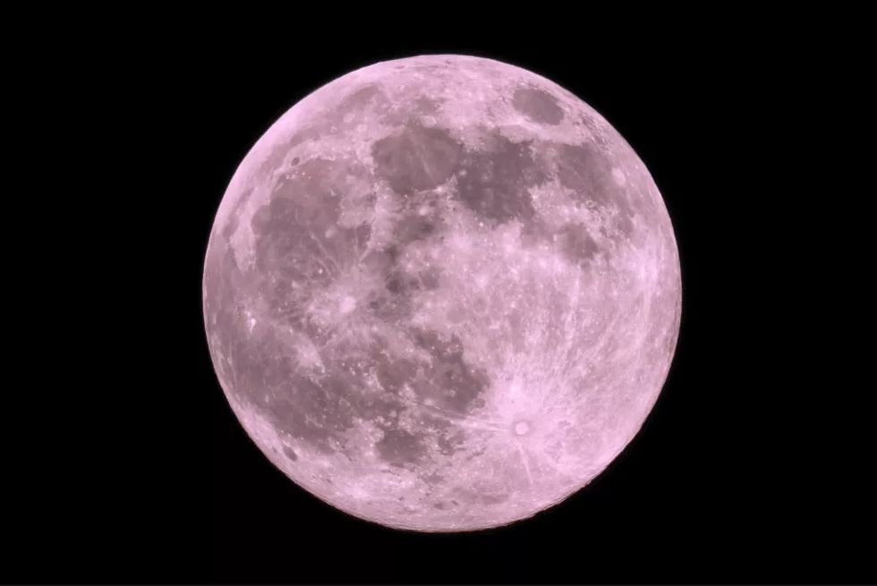 Luna de Flores 2024: Esta es la hora exacta para ver este fenómeno astronómico de mayo