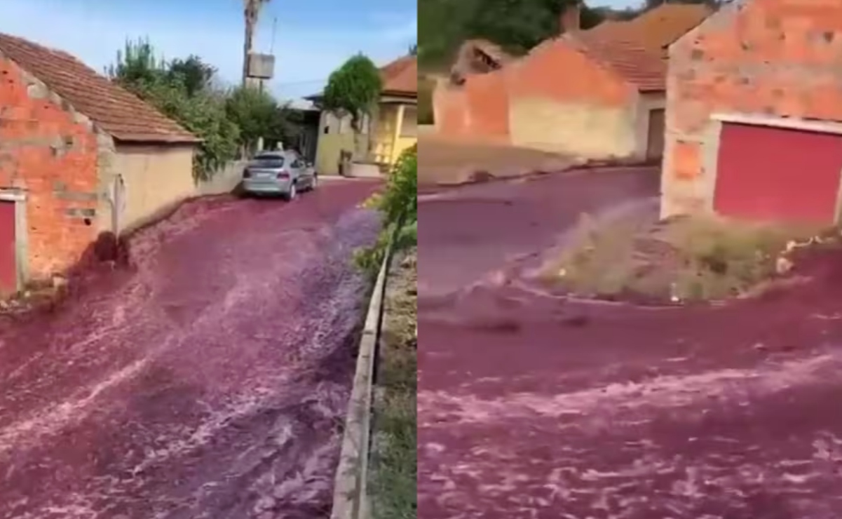 VIDEO. Río de vino tinto inunda poblado de Portugal: estallaron tanques de una destilería