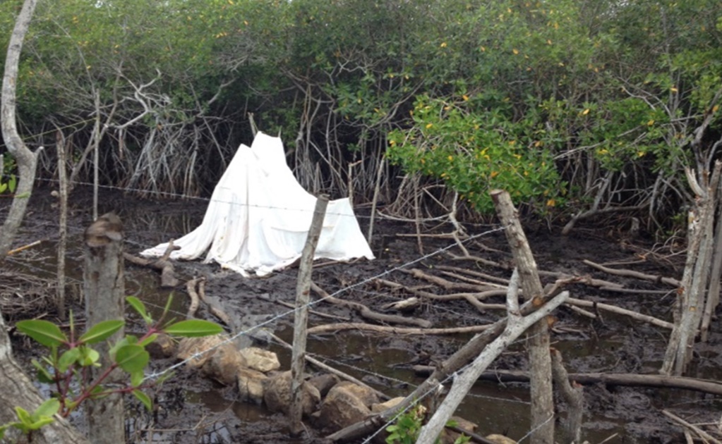 Interponen 12 denuncias por relleno de humedales en San Blas, Nayarit