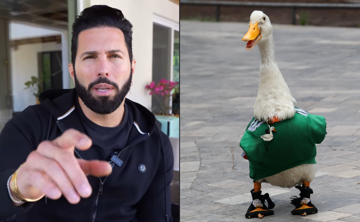 Pato Merlin Pato Merlín: Gobierno de México reconoce oficialmente a la familia ...