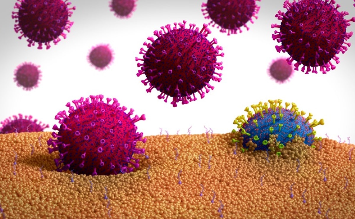 Mutaciones del coronavirus: ¿cómo será su evolución?