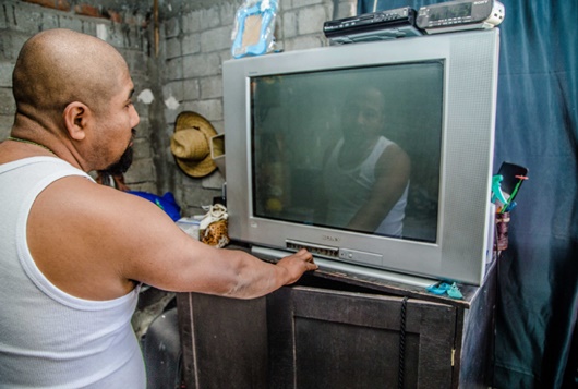 Cambian tv análogas por árboles