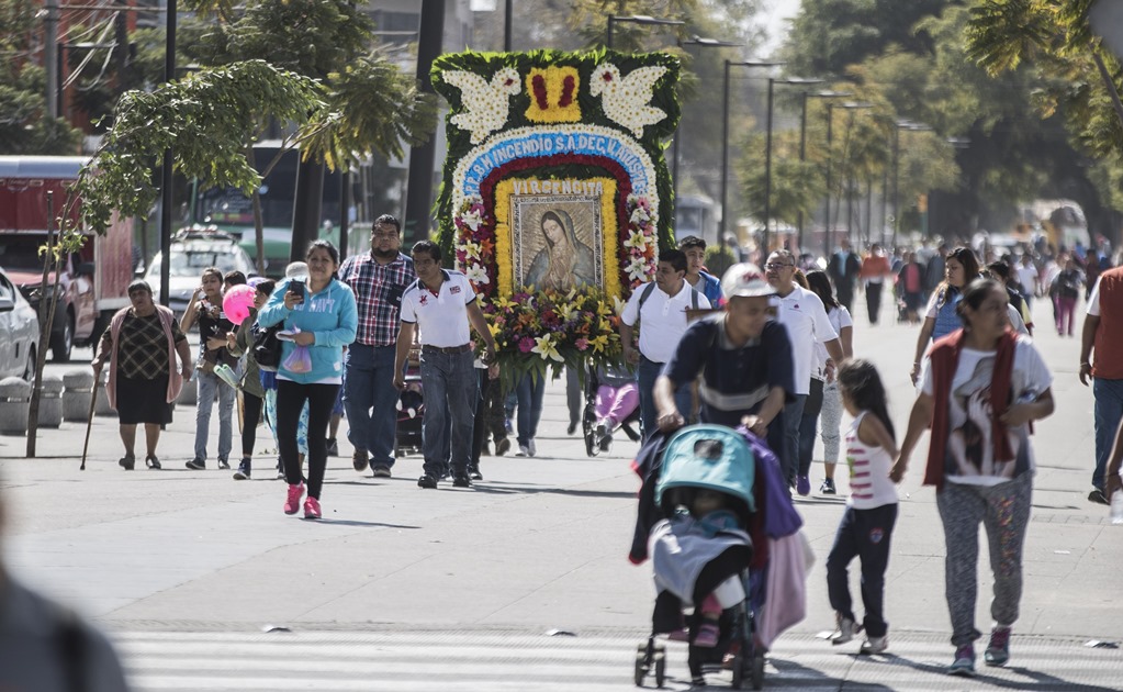 Abandonan a "perros peregrinos" en la Basílica de Guadalupe