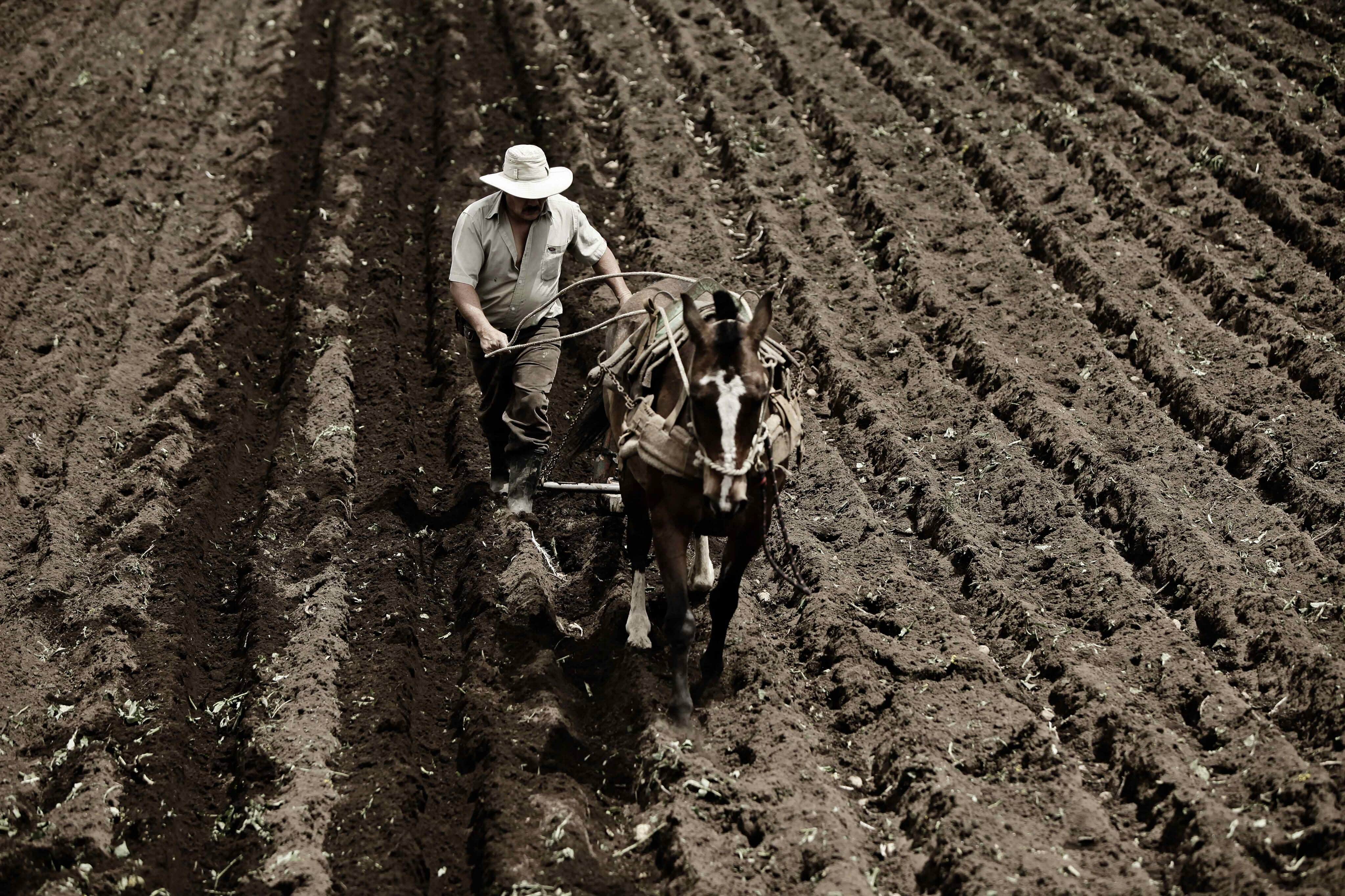 Zonas rurales de Barbados, Belice y Panamá con mejor conectividad que el campo de México: IICA