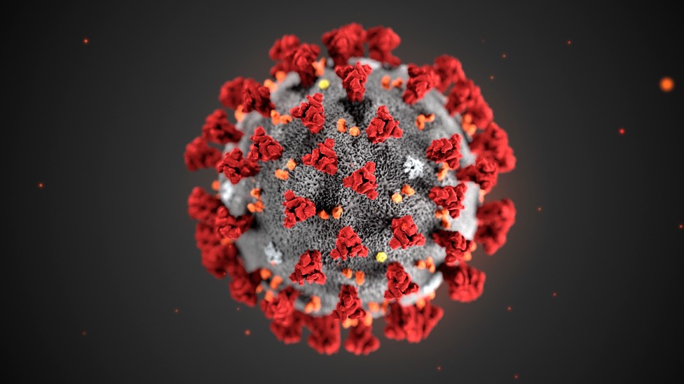 Covid-19: Las vacunas de células T podrían ser la clave para la inmunidad a largo plazo