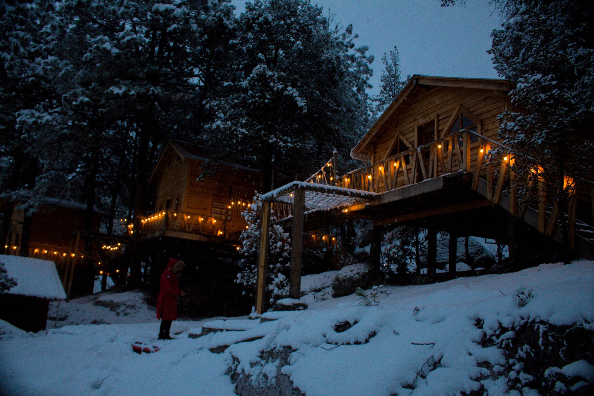 Wooden Inn: cabañas y glamping en un bosque nevado en México