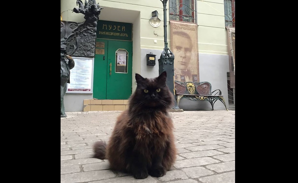 Кот бегемот музей. Кот Бегемот Булгаковский дом. КОТБЕГЕМОТ булагковская Москва.